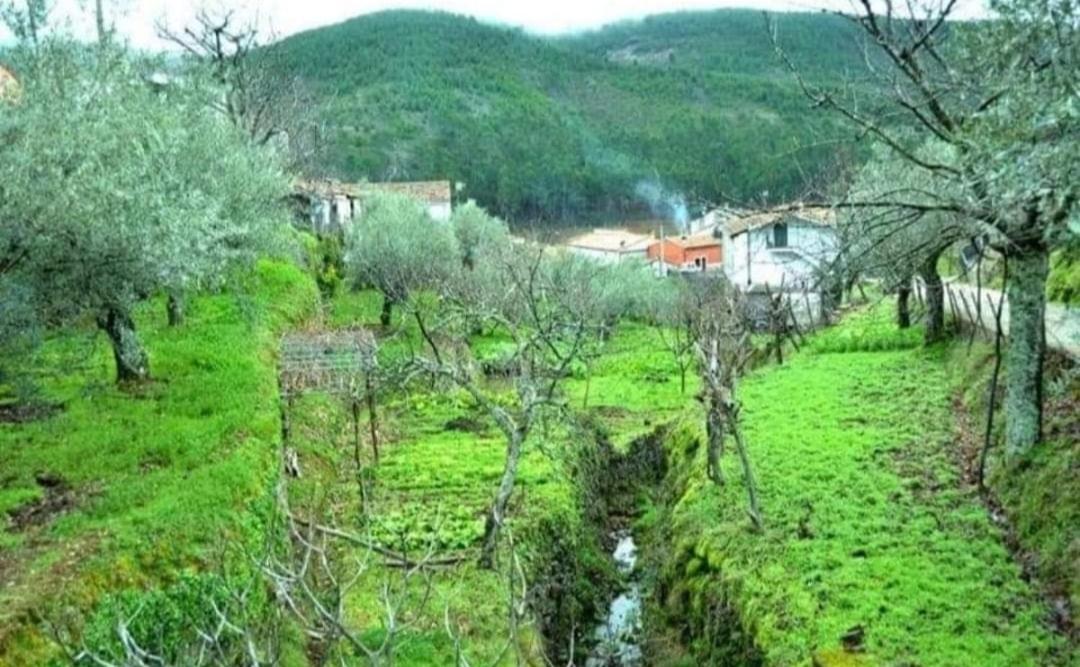 Hotel Rural Cristania Caminomorisco 外观 照片
