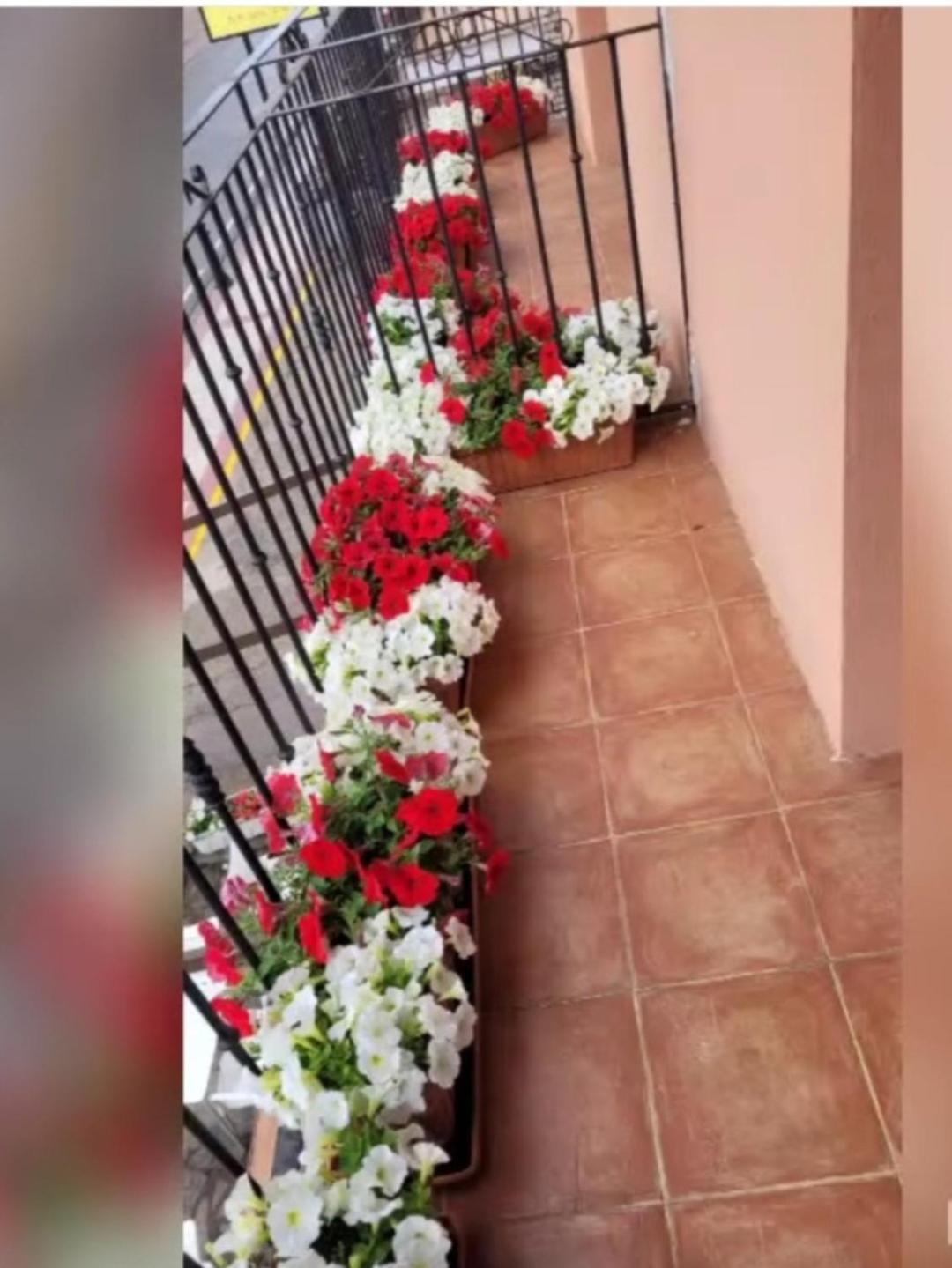 Hotel Rural Cristania Caminomorisco 外观 照片